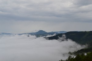 rsz_dsc_0078_1