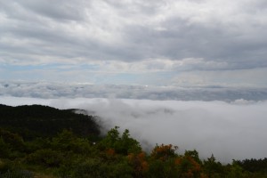rsz_dsc_0080_1