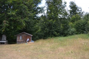 rsz_dsc_0151_1
