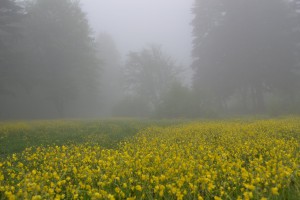 rsz_dsc_0167_1